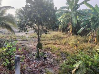 Bán đất vườn trương văn đa, bình lợi 10.000m2