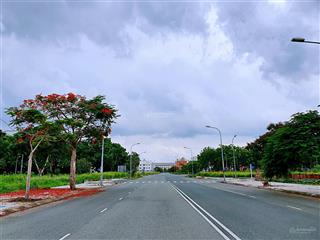 Bán đất sổ đỏ cá nhân cát lái, dt 7x20m, mặt tiền đường 50cl rộng 12 mét, giá 64 triệu/m2