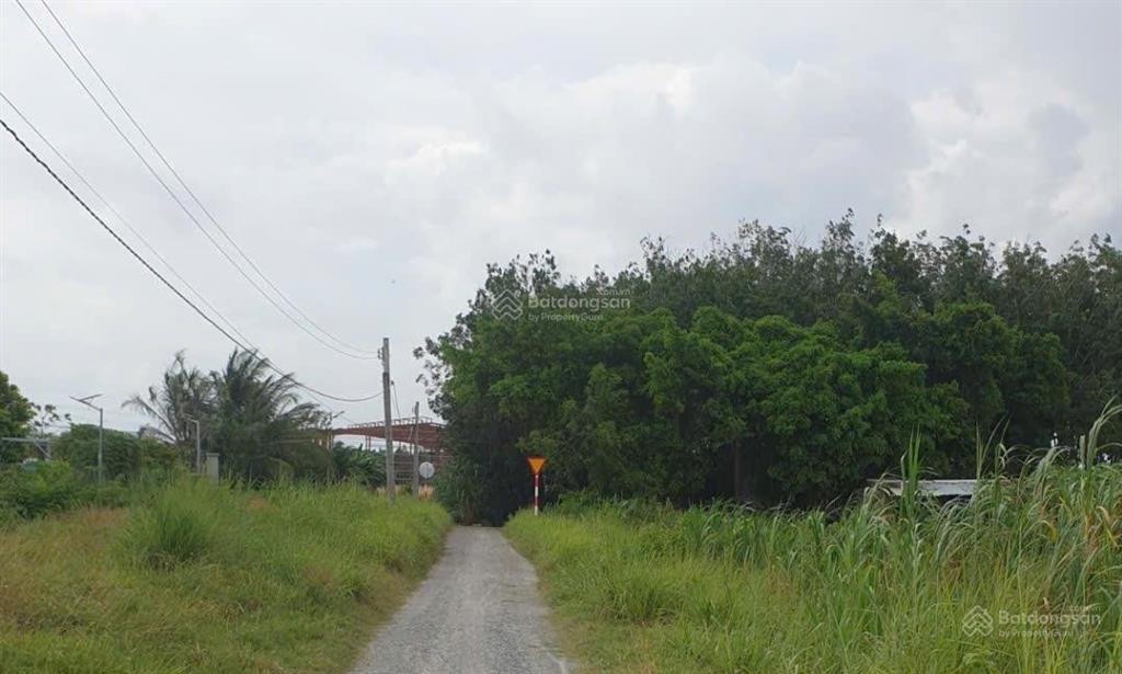 Chính chủ bán đất ngay cổng chính kcn phước đông, dt 4271,8m2 ô tô đỗ mt 30m giá 5,2 tỷ