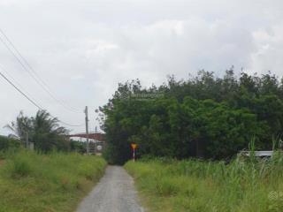 Chính chủ bán đất ngay cổng chính kcn phước đông, dt 4271,8m2 ô tô đỗ mt 30m giá 5,2 tỷ