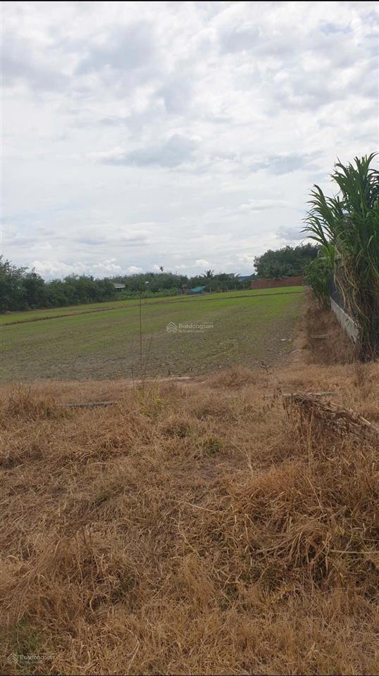 Chính chủ bán đất ngay cổng chính kcn phước đông, dt 4271,8m2 ô tô đỗ mt 30m giá 5,2 tỷ
