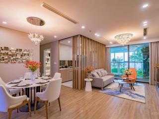 Cho thuê căn hộ chung cư toà p central park residences, ecopark vinh,  0915 658 ***