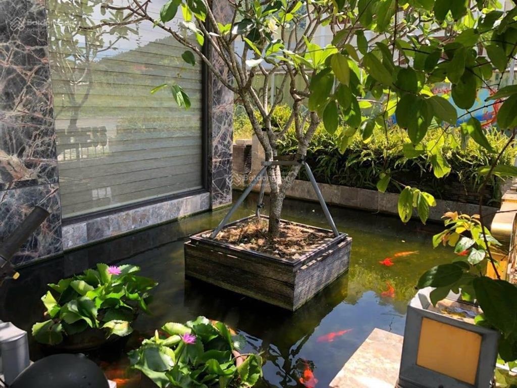 Bán tòa nhà 6 tầng mt đường lê văn lương, dt 300m, ngang 15m, gồm 36 phòng, tầm nhìn trực diện biển