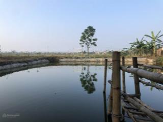 Cơ hội sở hữu trang trại nghỉ dưỡng 2000m2 tại gia lâm