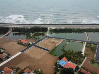 Chính chủ bán gấp căn mặt biển, 140m2 full thổ cư, sang tên ngay.