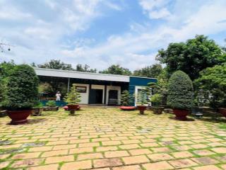 Bán nhà  vườn trái cây 64x85m  gần chợ long phước