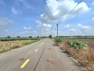 Siêu ngộp 1 mẫu 3 láng dài gần chợ giá 8 tỷ 5