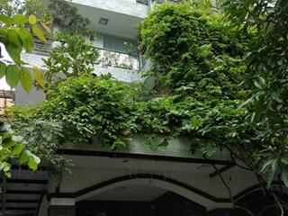 Cần bán gấp biệt thự đường trường sơn, p.2, tân bình 10x29m trệt 3 lầu chỉ 42.5 tỷ