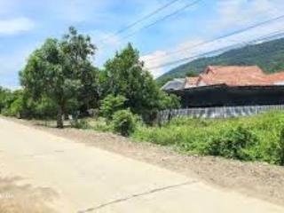 Đất thổ cư 150m2 giá chi 159 triệu, đường ô tô hiện trạng, quy hoạch rộng 40m