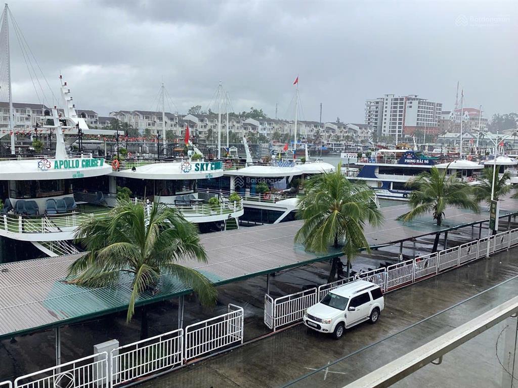 Bán bt chính chủ 300m2 view biển tại âu cầu 1 tuần châu, 26 tỷ, view đẹp, 5 tầng