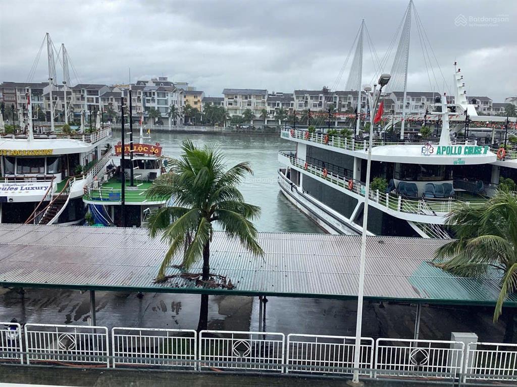 Bán bt chính chủ 300m2 view biển tại âu cầu 1 tuần châu, 26 tỷ, view đẹp, 5 tầng