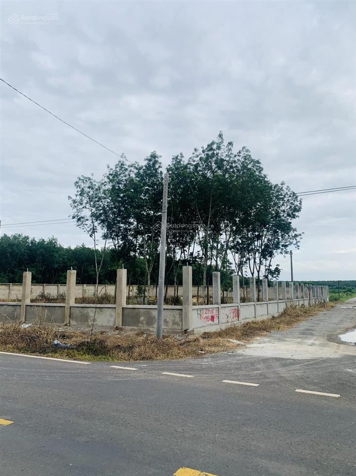 Cho thuê 2300m2 đất lô góc mặt tiền đường đt 756b có sẵn 1000m2 đất thổ cư (ont)