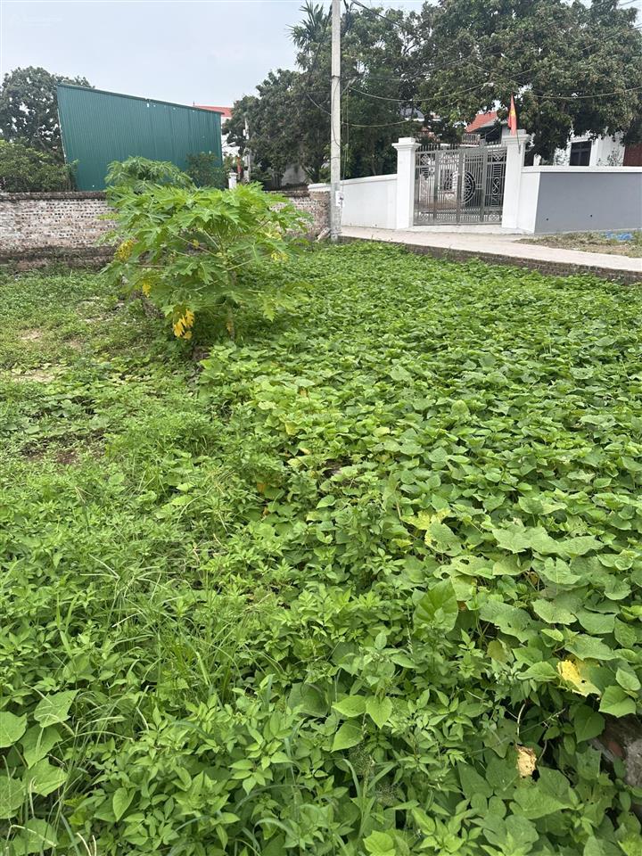 Oto ngủ trong đất, 100m ra đường nhựa liên xã, trường c1, trạm y tế dt 68m2 mt 4.2m nở hậu. 4ty4