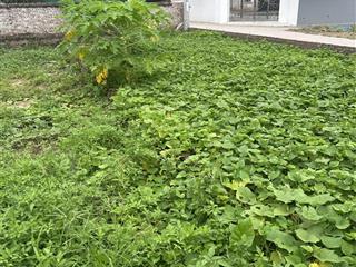 Oto ngủ trong đất, 100m ra đường nhựa liên xã, trường c1, trạm y tế. dt 68m2, mt 4.2m nở hậu. 4ty3