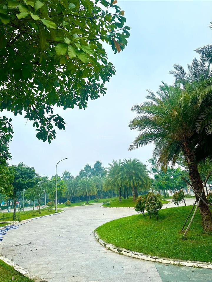 Góc 2 mặt tiền 517m² đường trần ngọc lên, giá rẻ
