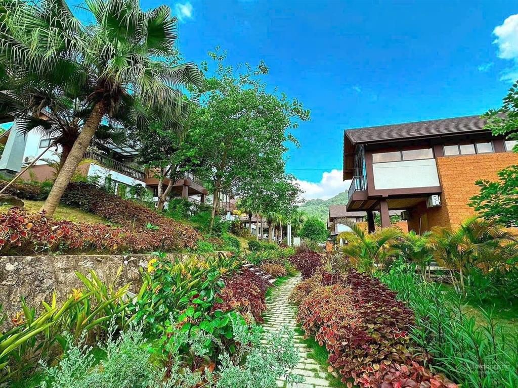 Bán biệt thự đẹp tại thang mây,view hồ bản xôi, 8,6 tỷ, 287m2, chính chủ, giá tốt nhất khu