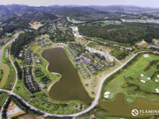 Cắt lỗ sâu căn hô đẹp bậc nhất tại flamingo đại lải