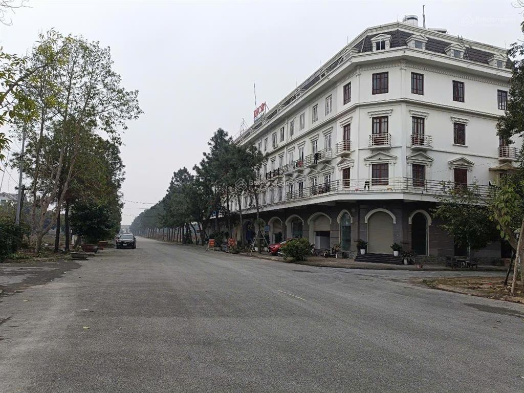 Bán biệt thự song lập 160m2 xây 3 tầng giá 8,9 tỷ sát kđt vsip bắc ninh sổ đỏ trao tay