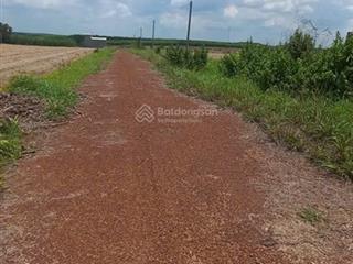 Bán đất tại xã nha bích, chơn thành, bình phước, 550 triệu, 240 m2  hot! chính chủ