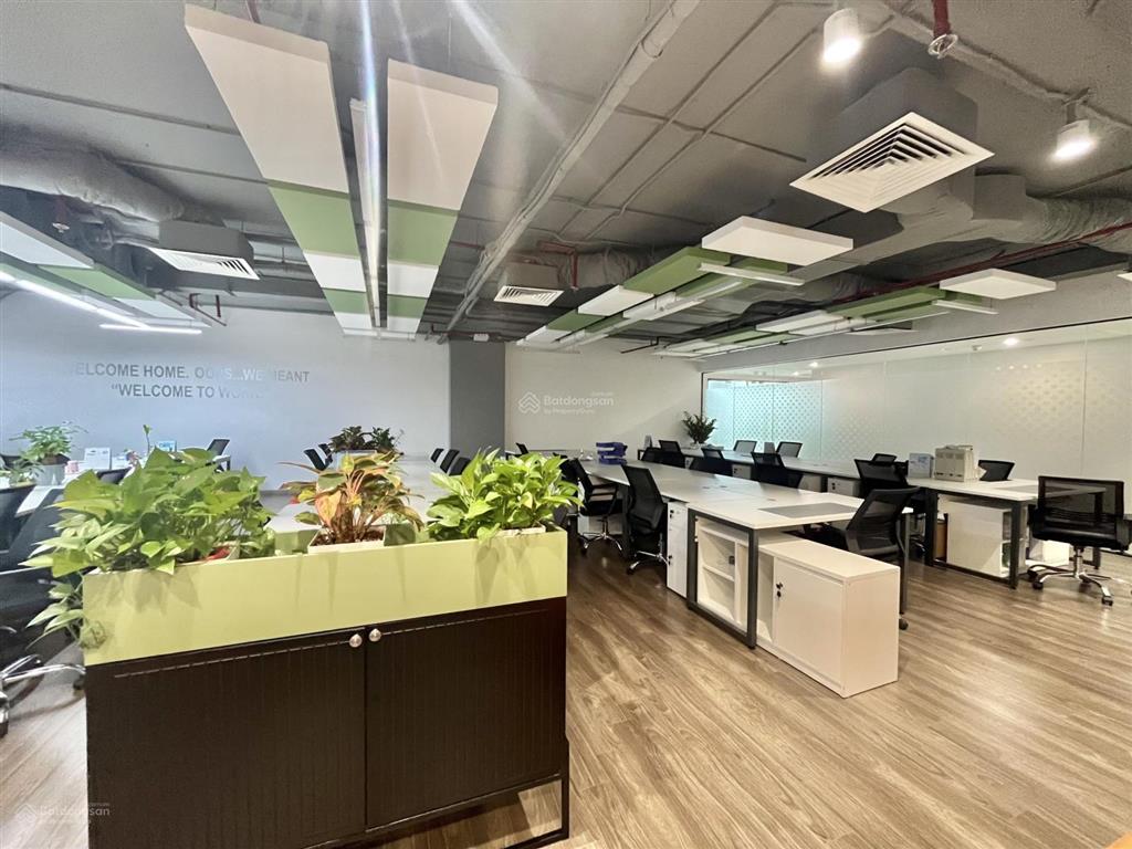 Văn phòng đẹp, đầy đủ nội thất, vị trí tốt phố thụy khuê dt 180m2, giá cực tốt