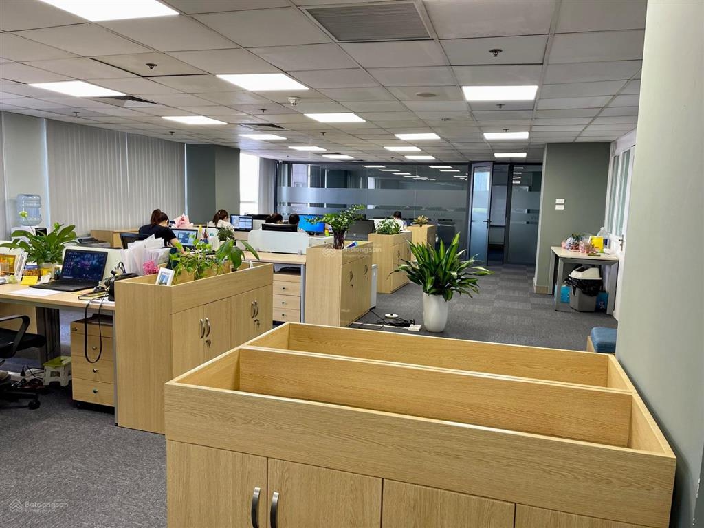 Cho thuê văn phòng quận cầu giấy, phố hoàng đạo thúy 90m2