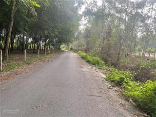 Cần bán 3,829.4m2 (29x132m) đất khu dân cư hiện hữu, định hoà, ngay thành phố mới, thủ dầu một