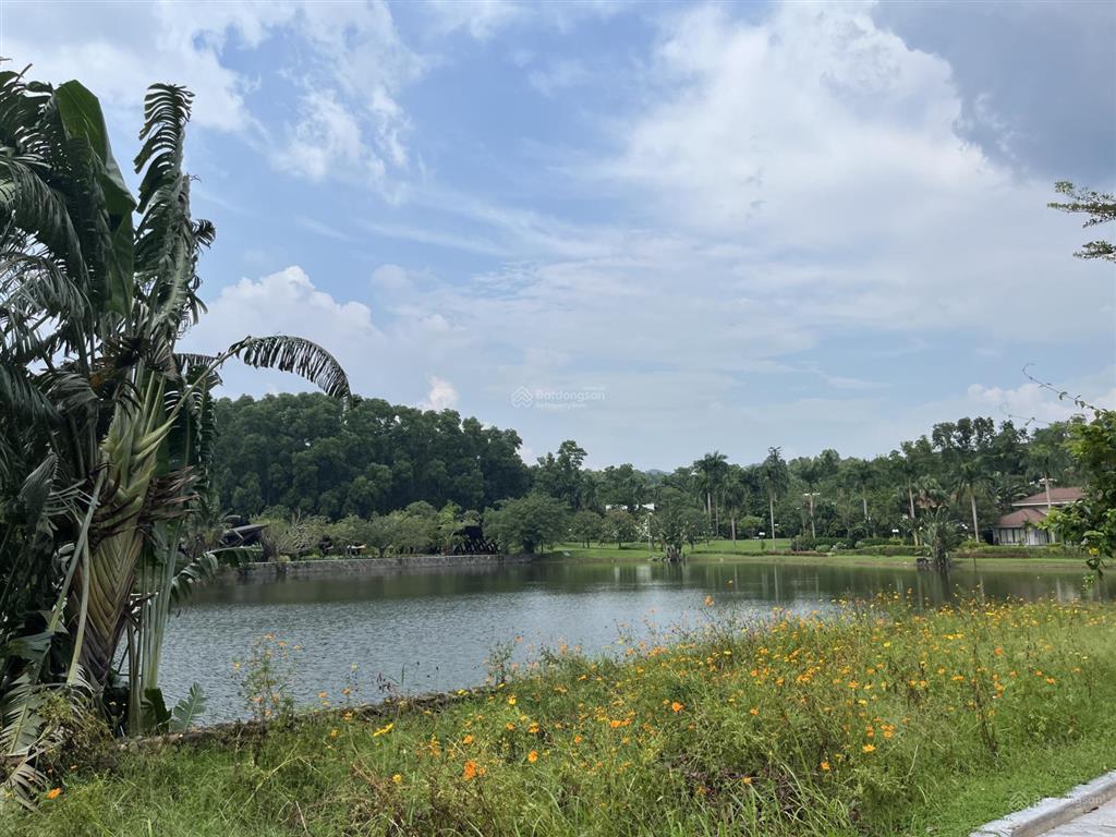 Cần chuyển nhượng lô đất góc mặt hồ thiên yến flamingo đại lải