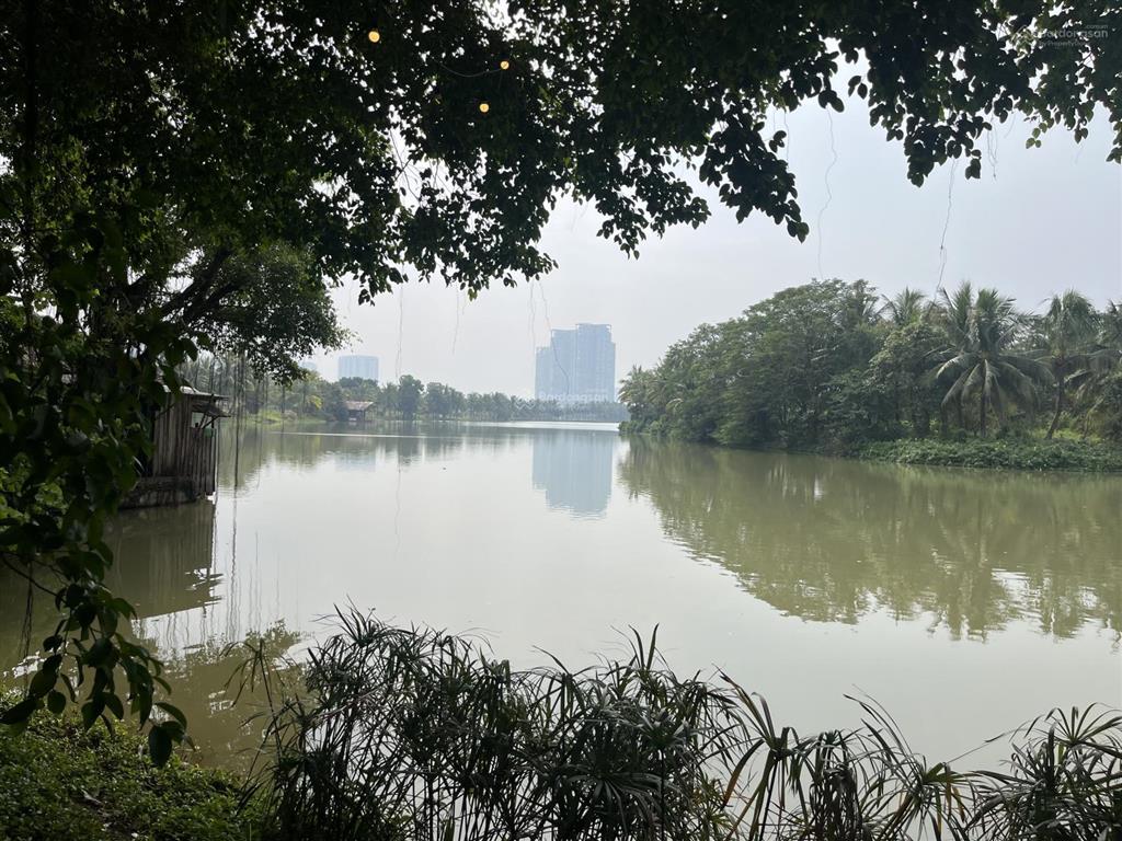 Gia đình cần bán cặp căn bt đảo ecopark vip