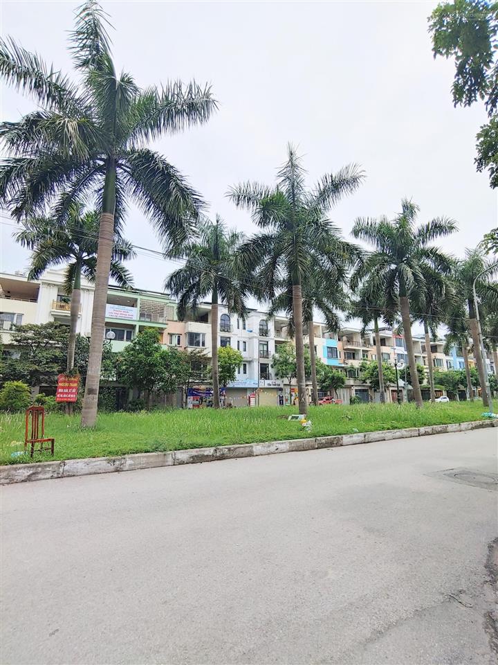 Liền kề tân tây đô mặt đường 12m hướng đông nam giá đầu tư