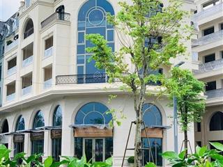 Bán duy nhất 1 căn royal mansion trục đường hùng vương giá rẻ nhất dự án dành cho khách đầu tư