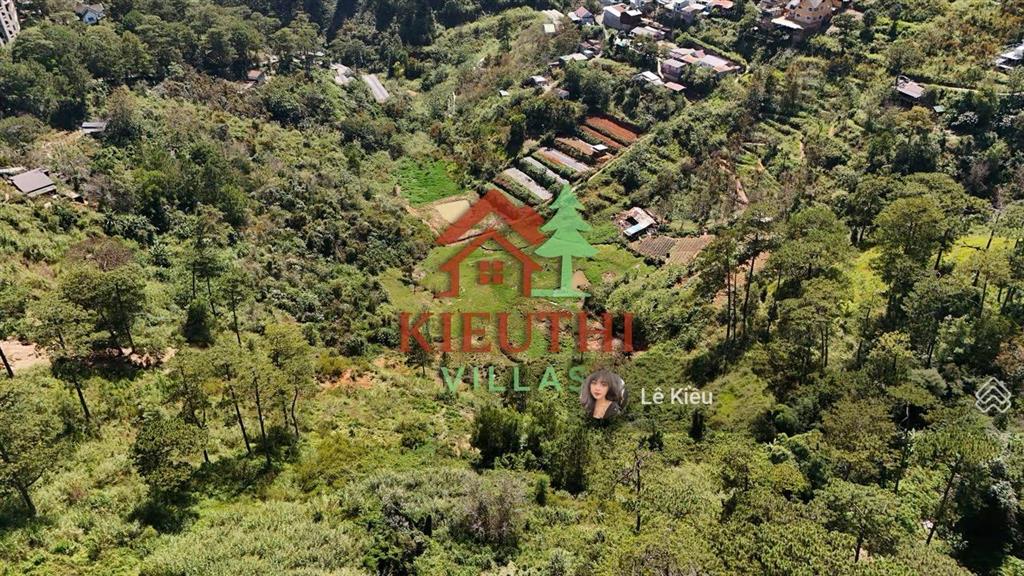 300m2 đất 2mt trước sau view rừng thông đường đặng thái thân, cách hồ xuân hương 1km, 21 tỷ