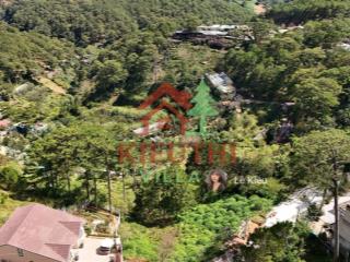 Siêu phẩm 1072m2 đất view rừng thông  đường 3/4  ngang 17m  35 tỷ