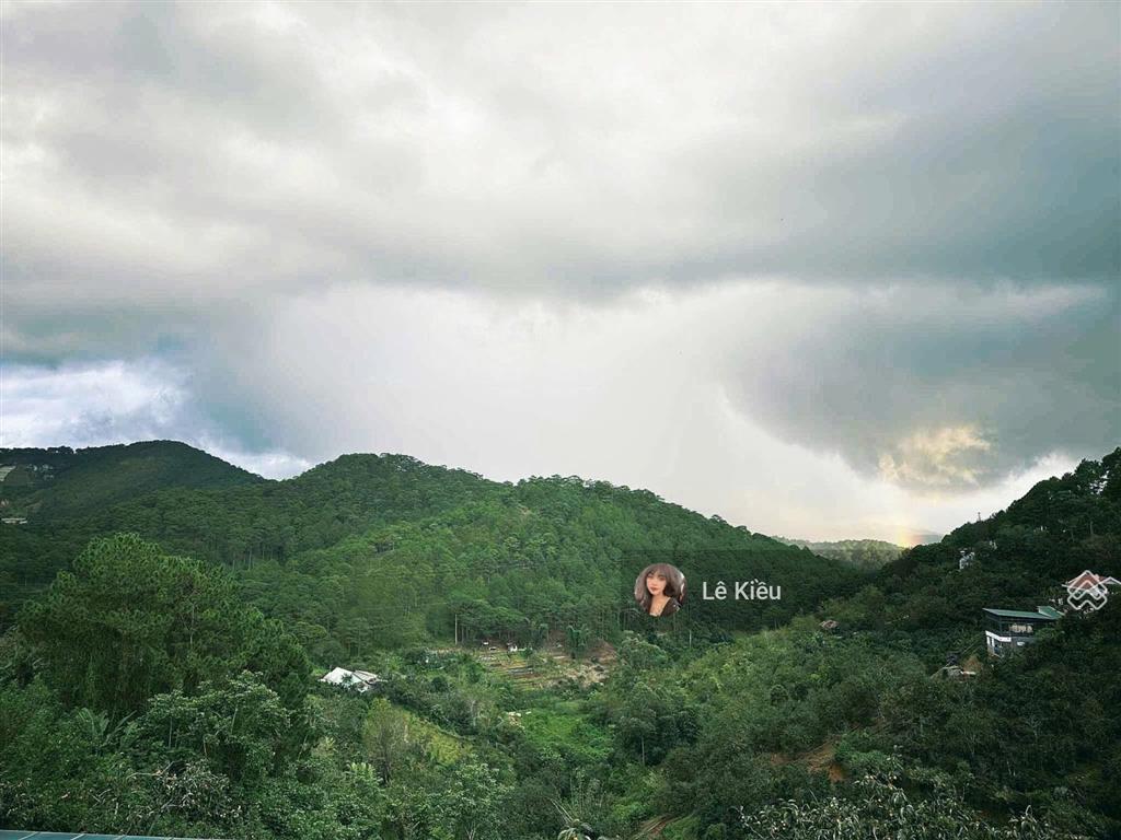 Bán 570m2 đất tặng nhà mt hoàng hoa thám p.10, ngang 20m, view rừng thông cạnh cafe bình minh ơi.