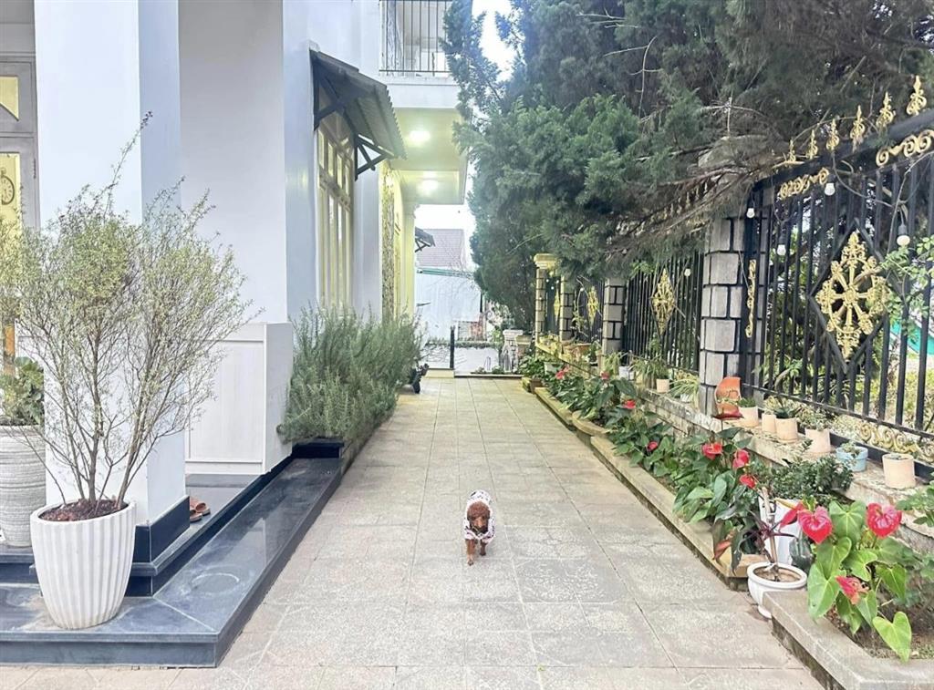 Bán villa 2 mặt tiền vạn hạnh & mai xuân thưởng p. 8 nguồn thu cao  giá 25 tỷ (giá cũ 28.5 tỷ)