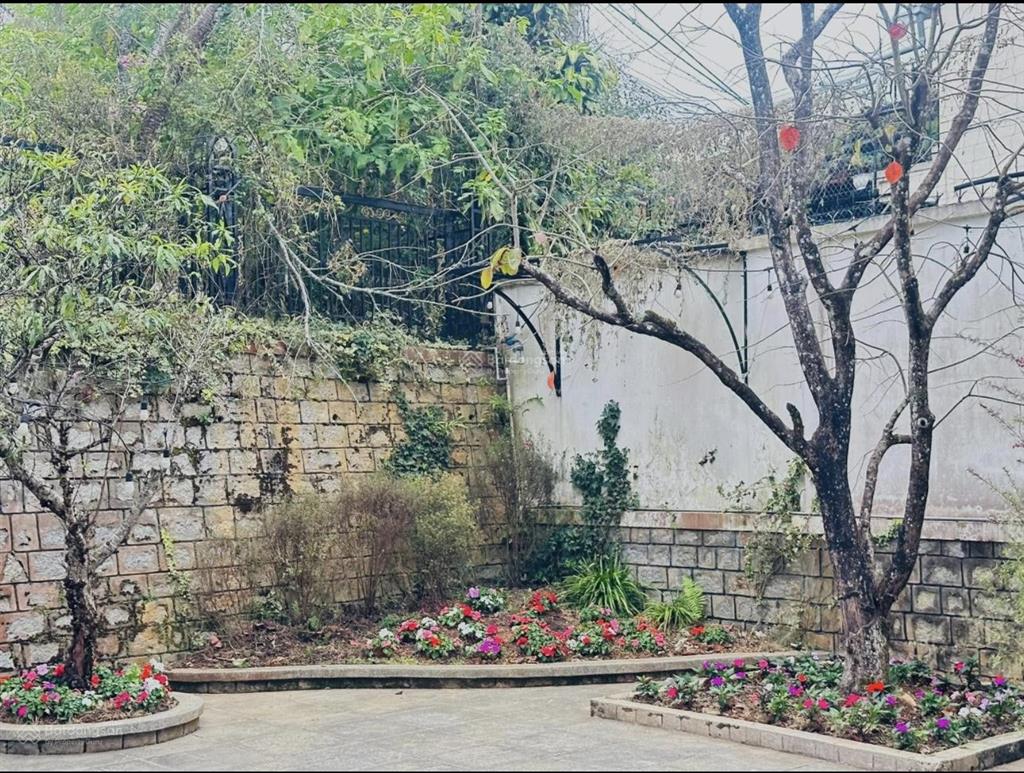 Bán villa 2 mặt tiền vạn hạnh & mai xuân thưởng p. 8 nguồn thu cao  giá 25 tỷ (giá cũ 28.5 tỷ)