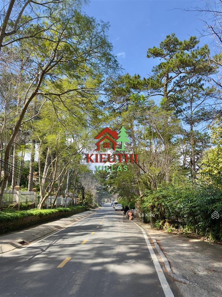 Bán villa đẹp  2mt yên thế  trung tâm đà lạt  view thung lũng rừng thông  ngang 17m  28 tỷ tl