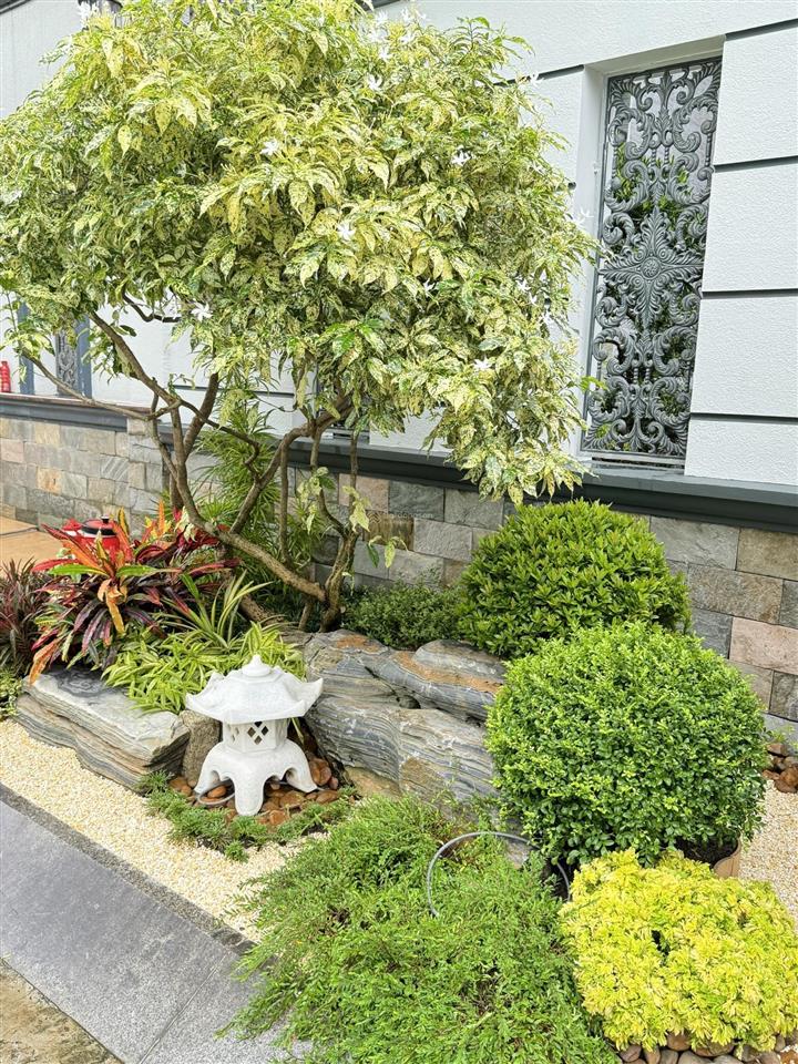 Cần bán siêu biệt thự khu compoud vip nhất quận 2 vào ở ngay giao toàn bộ nội thất nhập châu âu