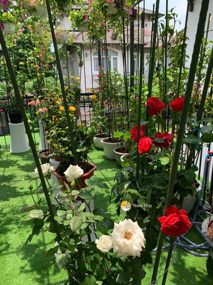 Biệt thự trệt+3 lầu khu compound fideco thảo điền, quận 2, dt 333m2 (18x20m), nội thất cao cấp