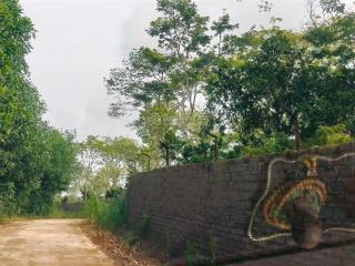 Cơ hội vàng sở hữu trang trại 2ha đẹp nhất yên thế, có sổ đỏ, view hồ sinh thái, giá chỉ 20 tỷ