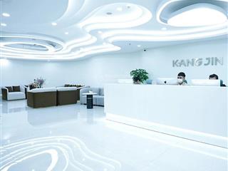 Bán gấp tòa nhà văn phòng mặt phố mai hắc đế 168m2 xây 11 tầng, mt 10m, vị trí vip, kd sầm uất