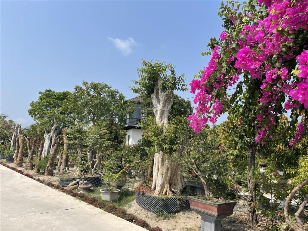 Chính chủ cần bán nhanh đất mặt tiền đường nhựa đại hàn  0798 347 ***