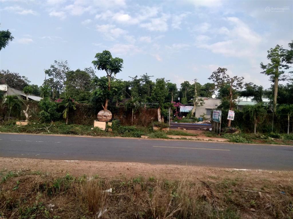 Chính chủ bán đất 10.500m² giá 19 tỷ, tỉnh lộ 329 hòa hội, xuyên mộc, bà rịa vũng tàu
