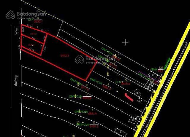 Chính chủ bán đất 10.500m² giá 19 tỷ, tỉnh lộ 329 hòa hội, xuyên mộc, bà rịa vũng tàu