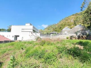 Bán đất biệt thự 208m2 sát biển bãi dâu trần phú, vũng tàu đường 6m view tuyệt đẹp giá 10 tỷ tl