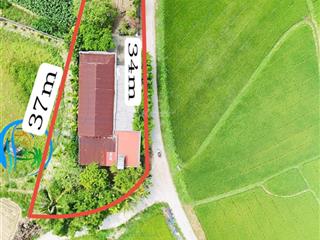 Nhà vườn giá rẻ gân. biển mỹ khê quảng ngãi 550mv có 200 ont giá hơn tỷ bạc