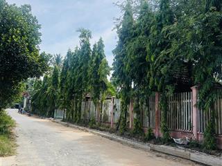 Nha vườn và nha 1 mê nhà vươn đây đủ loại cây an quả dừa xoài bưởi cau vvv đủ loại cây 62m mat