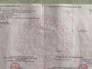 Mảnh vườn 2500m2 có 37 gốc sầu riêng hơn 4 năm rất đẹp