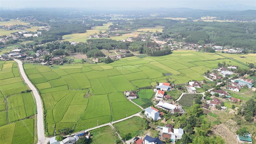 Chính chủ bán 3 nên khu dân cư tịnh thọ, gần khu vsip 2 giá chỉ 290/1 nền