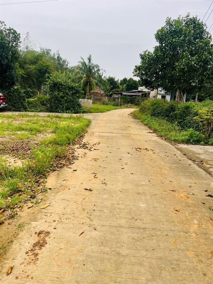 Vườn cho ace phân lô tach thưa ối dời ơi ngay đẹp nhứt mình nhưt mẩy