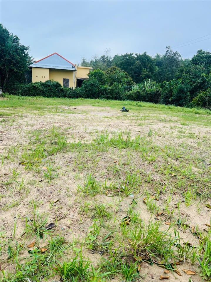 Vườn cho ace phân lô tach thưa ối dời ơi ngay đẹp nhứt mình nhưt mẩy